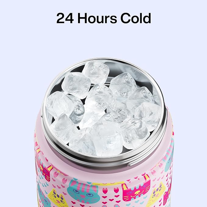 ENCOOL Insulated Water Bottle with Straw Stainless Steel Water Bottle, Leak-Proof, BPA-Free, Double Wall Vacuum Keeps Cold for 24 Hours for Sports, Travel, School (26 oz, Macaron Cat)