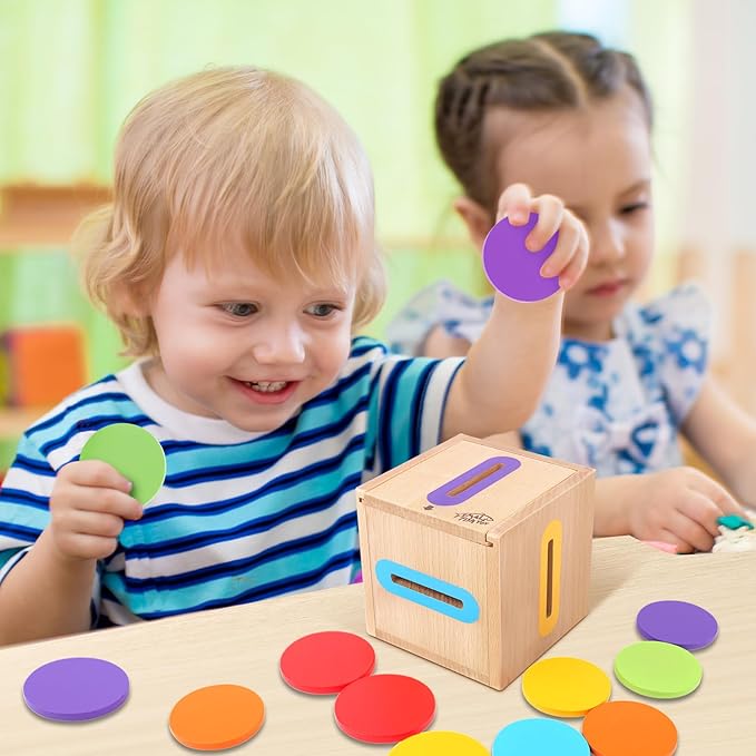 Montessori Toys for 1 2 3 Year Old: Fine Motor Wooden Color Sorting Sensory Toy for Toddlers 1-3 Year Old, Object Permanence Wooden Learning Matching Game, Baby Boys Girls Gifts 12-18 Month Old