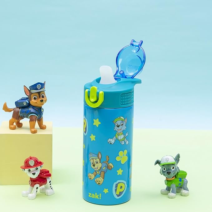 Zak Designs PAW Patrol Sage Kids Water Bottle For School or Travel, 14oz Stainless Steel Water Bottle With Straw, Handle, and Leak-Proof Spout Cover (Chase, Marshall, Skye, Rubble, Rocky, Zuma) | Sage, Kids, For School or Travel, Handle