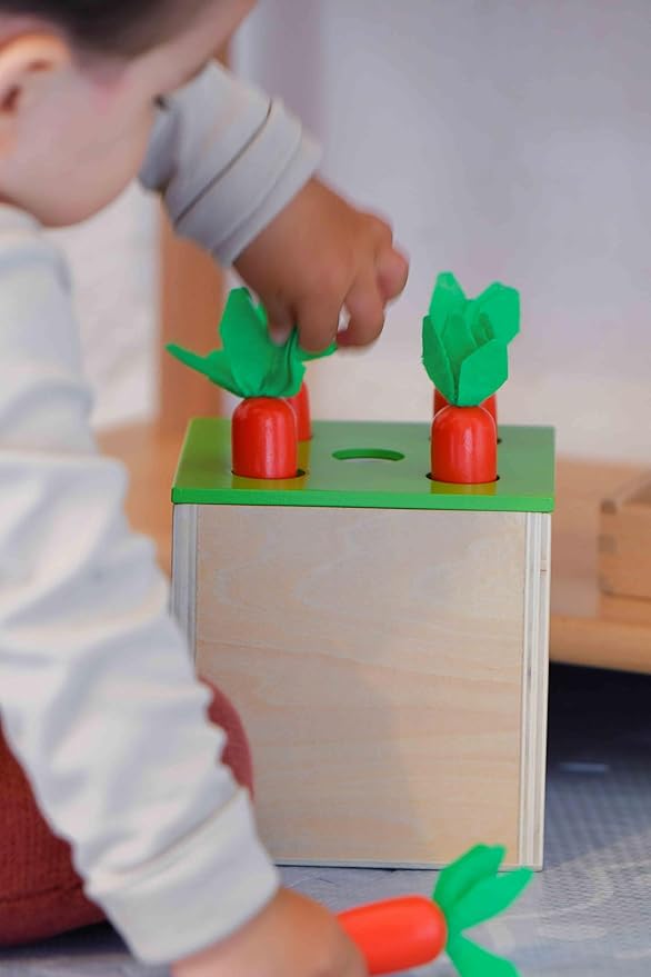 Adena Montessori 3 for 1 Wooden Montessori Play Kit Baby Toys,includes Matchstick Color Drop Game,Carrot Harvest Game and Coin Box,Learning Toy for Kid 1,2,3 Year Old,Girl Boy Gift for Baby 6-12 Month