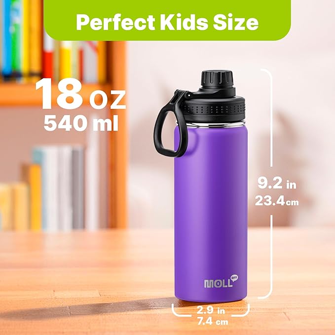 2 Pack 18 oz Water Bottle Stainless Steel Vacuum Insulated Wide Mouth Sports Water Bottle Flask with Leakproof Spout Lid (Royal Blue-Purple)
