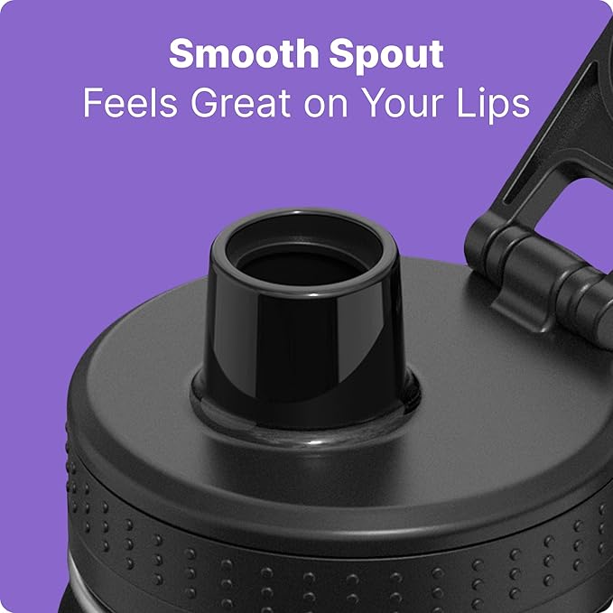 Vinur Mini Water Bottle 8 oz-Stainless Steel Insulated Small Water Bottle for Purse &Handbag-Reusable Metal Leak Proof Flask for Travel, Purple