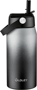 Oldley 18oz Insulated Water Bottle with Straw, Stainless Steel Water Bottle for Sports, Travel, School, BPA-Free Sports Bottles for Adult Kids, Leak-Proof, Gray-Black