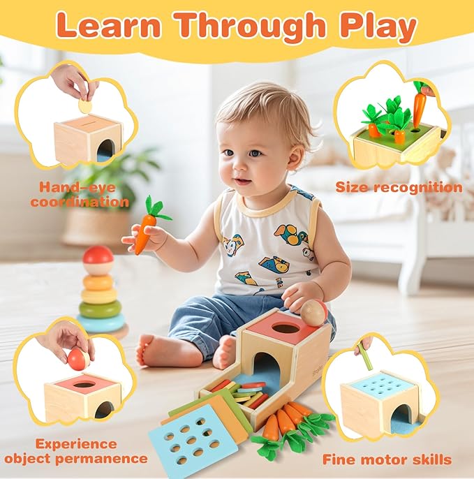 Twefex Wooden Montessori Learning Toys Kit,Babies Toys Set for 1 Year Old, Sensory and Thinking Play kit for Toddlers (Boys and Girls). 4 in 1 Drop Box; Rocking Stacker; Bead Maze.