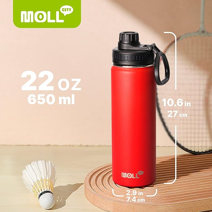 22 oz Water Bottle Stainless Steel Vacuum Insulated Wide Mouth Sports Flask, 2 Pack Water Bottle with Leakproof Spout Lid (Canyon Red-Sky Blue)