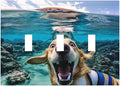 Decorative Light Switch Plate Covers Angry Shark Chased Funny Dog Underwater Sea 3 Gang Wall Plate Switch Cover Plate Triple Toggle Jumbo Electrical Faceplate for Bedroom Decor