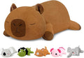 TOYSYM Weighted Stuffed Animals, Capybara Plush with Weighted Beads, Cute Capybara Stuffed Animals Pillow Gifts for Adults Kids Boys Girls 9.8inch