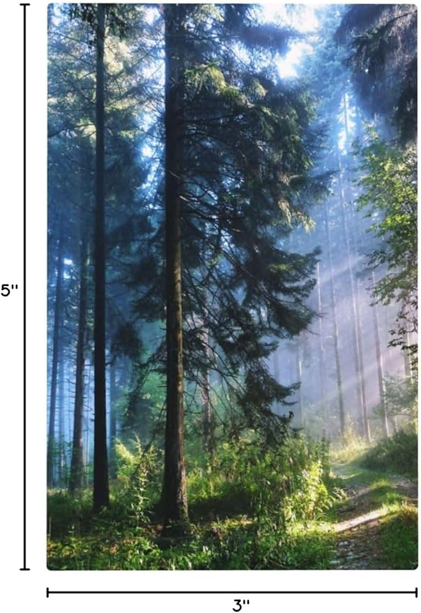Green Landscape Forest Tree 1 Gang No Device Wall Plate Decorative Blank Light Switch Cover Switchplate Electrical Faceplate for Bathroom Home Bedroom Art Decor