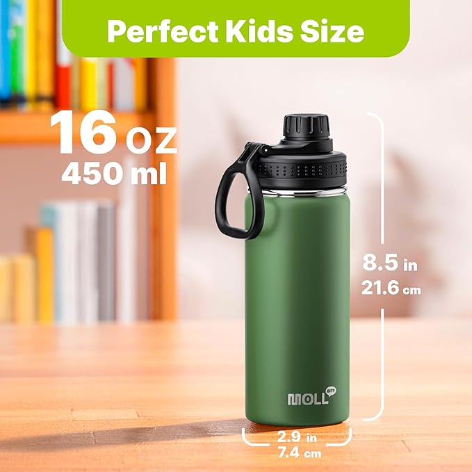 Insulated Water Bottle 2 Pack-16 oz Stainless Steel Vacuum Sports Water Bottle Wide Mouth Flask with Leakproof Spout Lid (Navy-Grass Green)