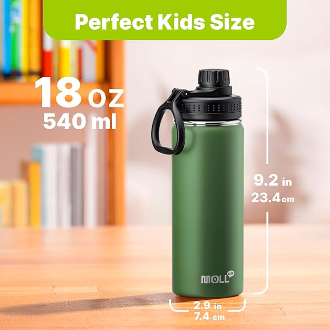 Insulated Water Bottle 2 Pack-18 oz Stainless Steel Vacuum Sports Water Bottle Wide Mouth Flask with Leakproof Spout Lid (Navy-Grass Green)