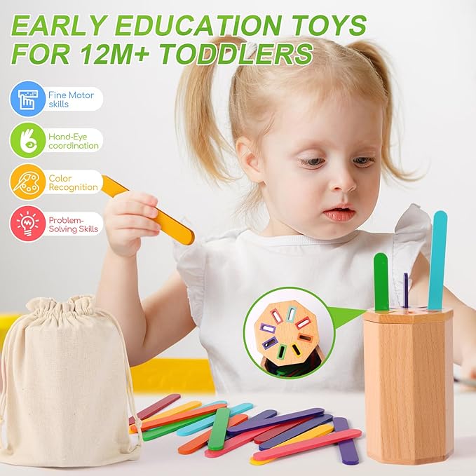 Montessori Toys for 1-3 Year Old: Wooden Learning Color Sorting Sticks Toys for Toddlers Age 1 2 3, Educational Fine Motor Developmental Sensory Matching Game Activities, 12 18 24 Month Kid Boy Girl