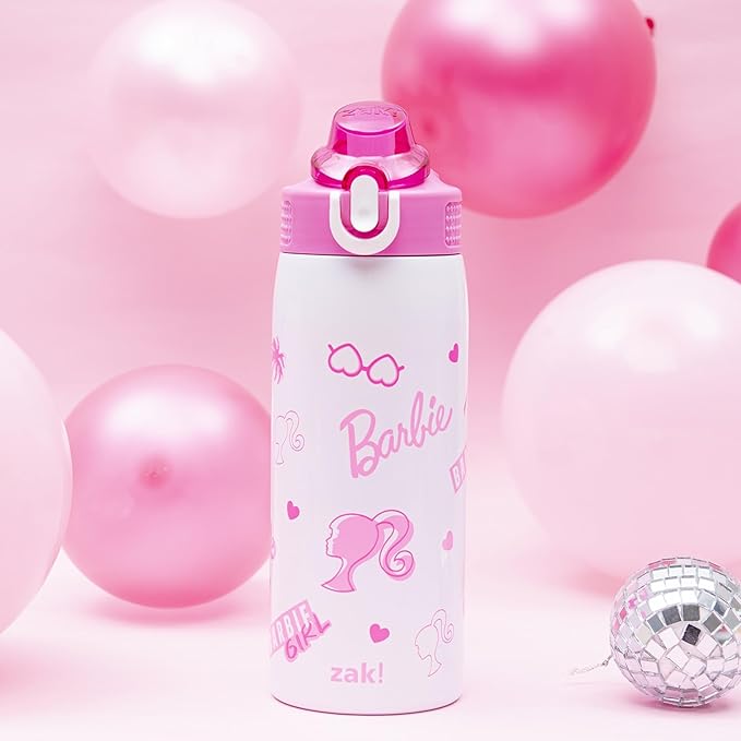 Zak Designs Barbie Sage Kids Water Bottle For School or Travel, 19oz Stainless Steel Water Bottle With Straw, Handle, and Leak-Proof, Pop-Up Spout Cover (Barbie)