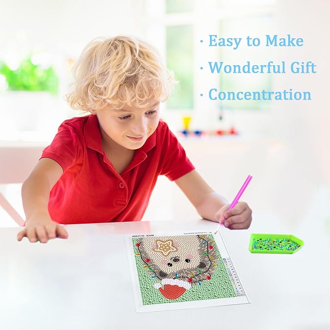 Libfx Diamond Art Kits for Kids with Frame Diamond Art for Girls Boys Beginners Arts and Crafts Ages 8-12 Birthday Gifts (Christmas Hedgehog)