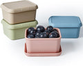 ISSEVE 8oz Silicone Snack Containers for Kids, 1 Cup Reusable Small Containers with Lids, Leak Proof Silicone Food Storage Containers, Kids Lunch Box for Daycare, School, Travel (4)