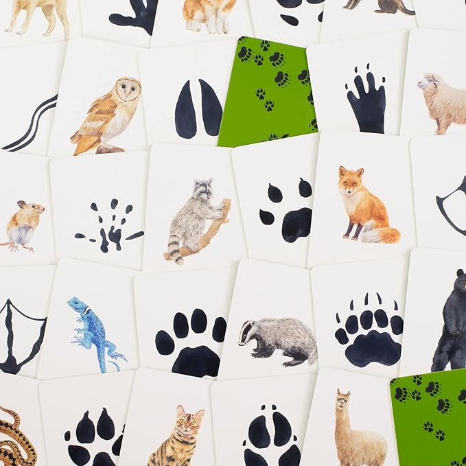 Laurence King Match a Track Near You: Match 25 Animals to Their Paw Prints