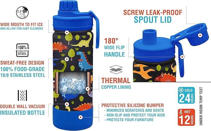 CHILLOUT LIFE 17 oz Kids Insulated Water Bottle for School with Leakproof Spout Lid and Cute Waterproof Stickers, Personalized Stainless Steel Thermos Flask Metal Water Bottle for Girls & Boys