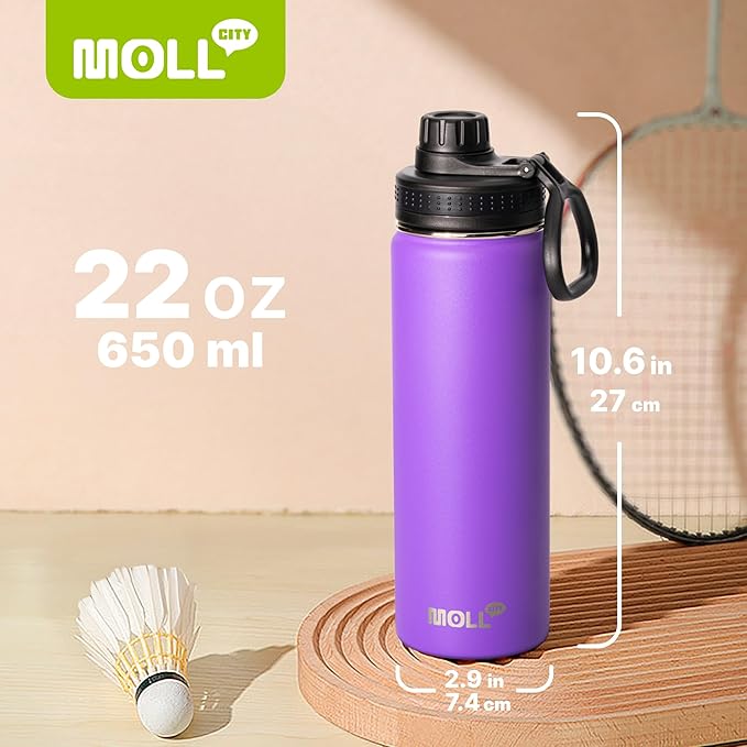 2 Pack Water Bottle - 22 oz Stainless Steel Double Wall Vacuum Insulated Wide Mouth Sports Water Bottle Flask with Leakproof Spout Lid (Royal Blue-Purple)
