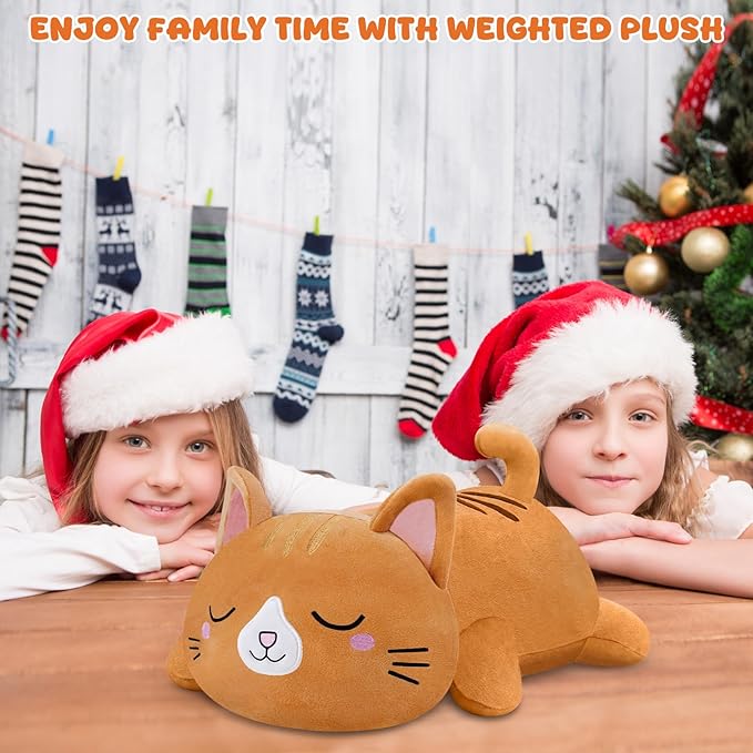TOYSYM Weighted Stuffed Animals Cat, Orange Cat Plush with Weighted Beads, Cute Cat Plushie Pillow Gifts for Adults Kids Boys Girls