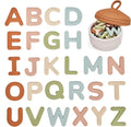JoyCat Silicone Alphabet Magnetic Letters, 26 Uppercase ABC Fridge Magnets for Kids 3+, Preschool Learning Refrigerator Toy Set, Birthday Gifts for Boys Girls (Muted Color)