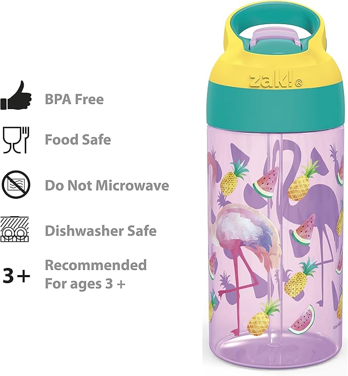 Zak Designs 16oz Riverside Desert Life Kids Water Bottle with Straw and Built in Carrying Loop Made of Durable Plastic, Leak-Proof Design for Travel, 2PK Set