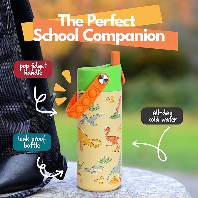 Elemental Insulated Kids Water Bottle, Stainless Steel Water Bottle with Straw Lid & Pop-It Handle, Leak-Proof Water Bottles for School, Boys or Girls, Travelling and Sports, 18oz - Skater Dinos