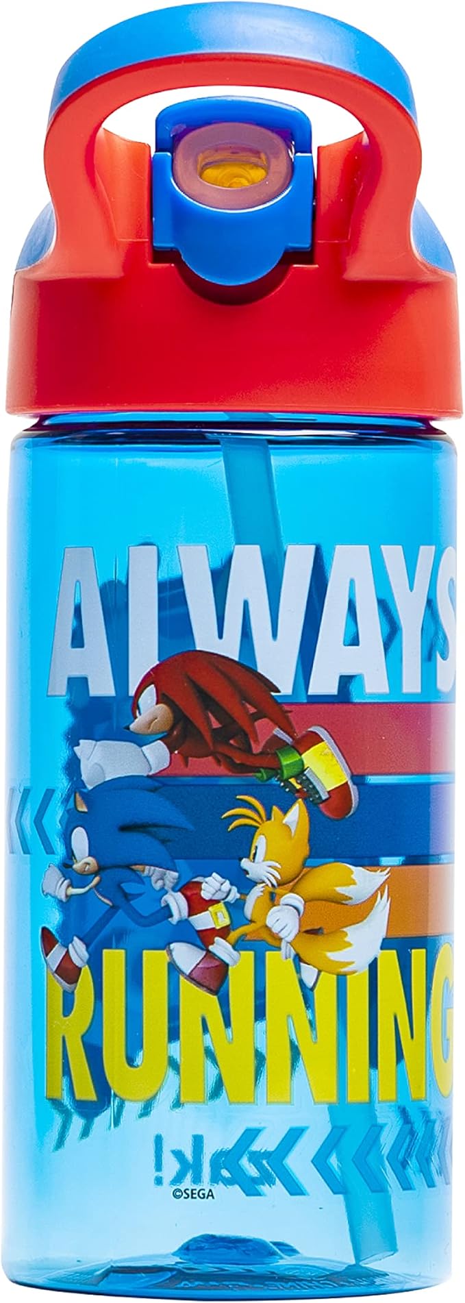 Zak Designs Sonic the Hedgehog Kids Water Bottle with Spout Cover and Built-in Carrying Loop, Made of Durable Plastic, Leak-Proof Water Bottle Design for Travel (17.5 oz, Pack of 2)