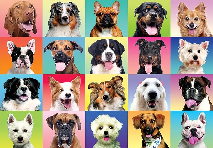 JOYIN 300 pcs Multicolor Dog Puzzles, Jigsaw Puzzle for Kids and Adults(27.6" x 19.7"), Puppy Theme Puzzles for Toddlers, Collection Gift Home Art Decor, Birthday Gift for Boys Girls 3 4 5 6 7 8