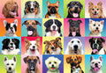 JOYIN 300 pcs Multicolor Dog Puzzles, Jigsaw Puzzle for Kids and Adults(27.6" x 19.7"), Puppy Theme Puzzles for Toddlers, Collection Gift Home Art Decor, Birthday Gift for Boys Girls 3 4 5 6 7 8