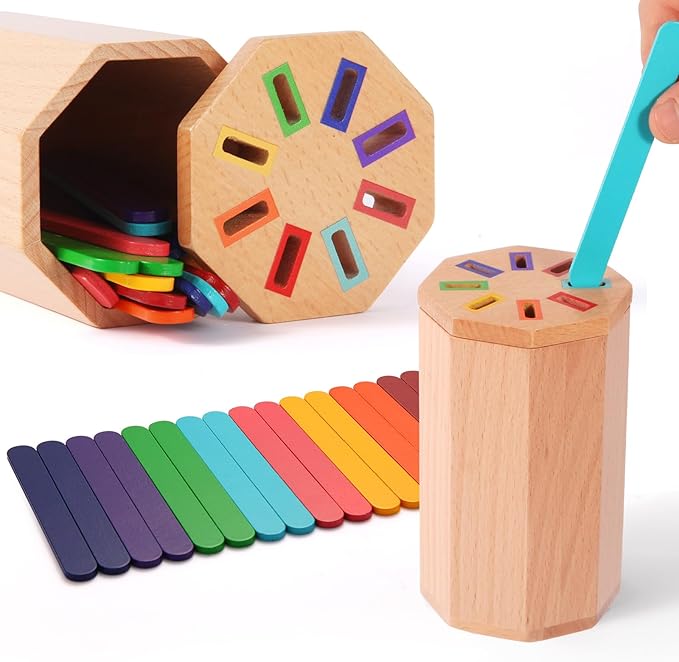 Montessori Toys for 1-3 Year Old: Wooden Learning Color Sorting Sticks Toys for Toddlers Age 1 2 3, Educational Fine Motor Developmental Sensory Matching Game Activities, 12 18 24 Month Kid Boy Girl
