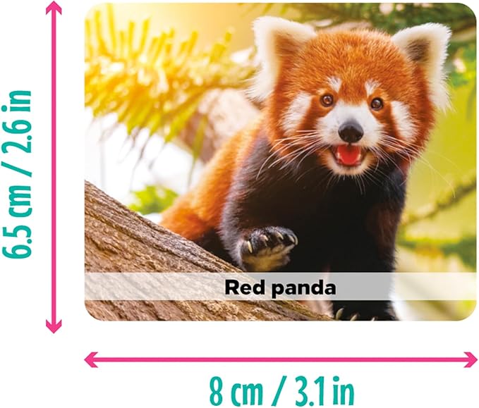Menique Wild Animals Memory Matching Game – 80 Cards (40 Pairs) with Real Photos – Includes Educational Booklet with Animal Facts – Fun & Cognitive Game for Kids and Adults