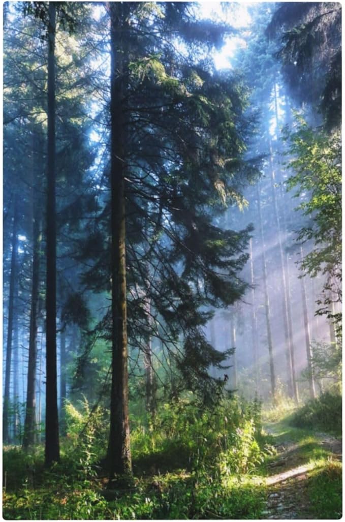 Green Landscape Forest Tree 1 Gang No Device Wall Plate Decorative Blank Light Switch Cover Switchplate Electrical Faceplate for Bathroom Home Bedroom Art Decor