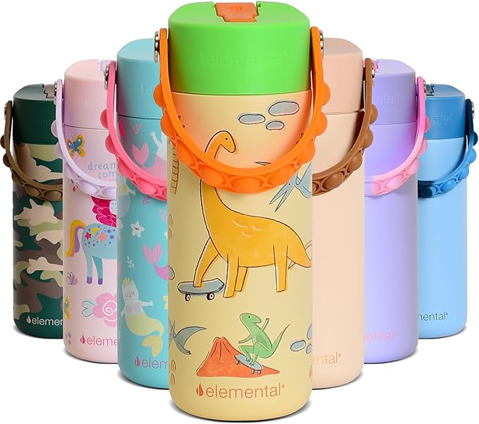 Elemental Insulated Kids Water Bottle, Stainless Steel Water Bottle with Straw Lid & Pop-It Handle, Leak-Proof Water Bottles for School, Boys or Girls, Travelling and Sports, 18oz - Skater Dinos