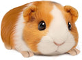 Guinea Pig Stuffed Animal, Cute Guinea Pig Plush for Kids, Realistic Stuffed Animals Small Live Animals Toys for Boys Girls Children's Christmas Birthday Gifts(Yellow-Brown)