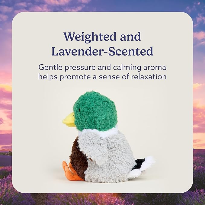 warmies Microwavable & Weighted Stuffed Animals, Mallard - Heated Stuffed Animal Plushie for Warmth & Comfort - Cute Soft Plush Toys for Adults & Children (Boys, Girls, Babies & Toddlers)