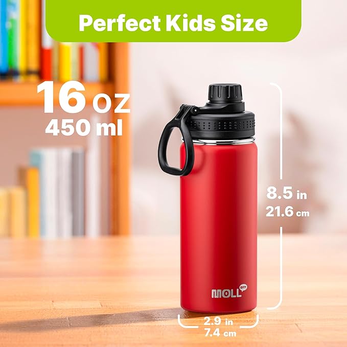 Kids Water Bottle for School 16 oz Stainless Steel Double Wall Vacuum Insulated Sports Water Bottle Leak Proof-Reusable Metal Flask with Silicone Boot for Christmas, BPA-Free(Canyon Red)