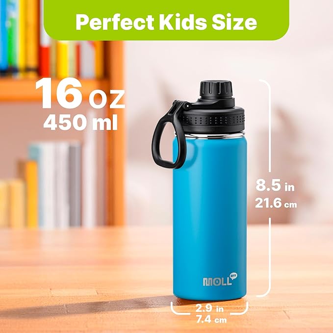 16 oz Water Bottle Stainless Steel Vacuum Insulated Wide Mouth Sports Flask, 2 Pack Water Bottle with Leakproof Spout Lid (Canyon Red-Sky Blue)