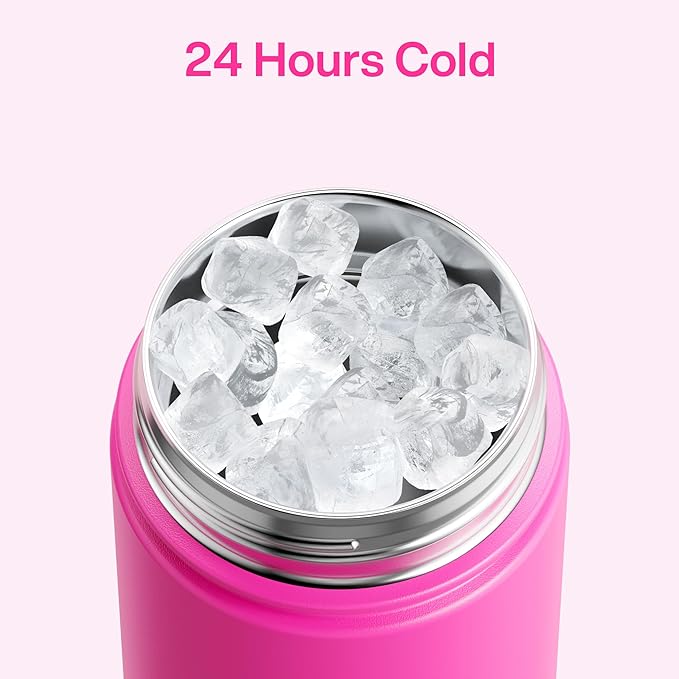 ENCOOL Insulated Water Bottle with Straw Stainless Steel Water Bottle, Leak-Proof, BPA-Free, Double Wall Vacuum Keeps Cold for 24 Hours for Sports, Travel, School (26 oz, Persian Rose)