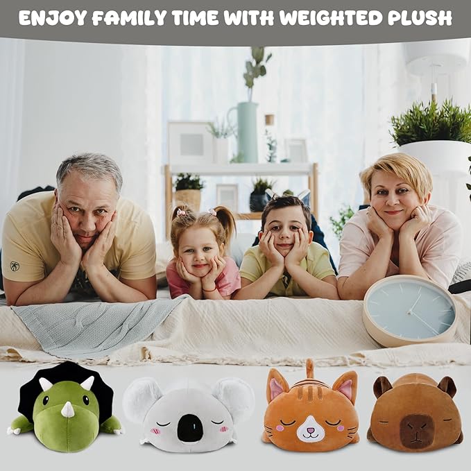 TOYSYM Weighted Stuffed Animals Koala, Koala Plush with Weighted Beads, Cute Plushie Pillow Gifts for Adults Kids Boys Girls 13.8 Inch