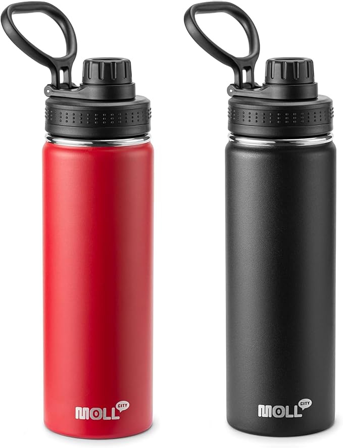 22 oz Water Bottle - 2 Pack Stainless Steel Vacuum Insulated Water Bottle Wide Mouth Sports Flask with Leakproof Spout Lid (Canyon Red-Black)