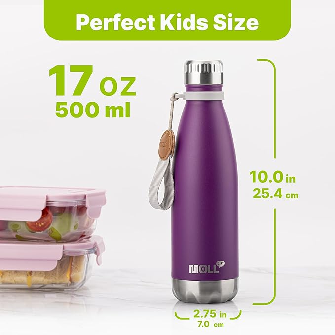 Water Bottle 17 oz Stainless Steel Vacuum Insulated Sports Water Bottle No Straw Reusable Metal Leak Proof Flask Cola Shape-BPA Free (Purple)