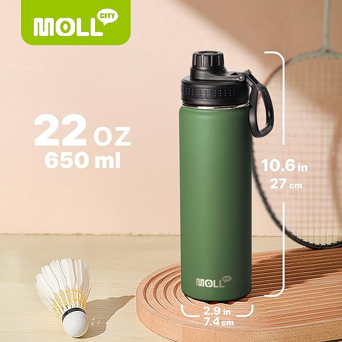 2 Pack Insulated Water Bottle -22 oz Stainless Steel Vacuum Sports Water Bottle Wide Mouth Flask with Leakproof Spout Lid (Navy-Grass Green)