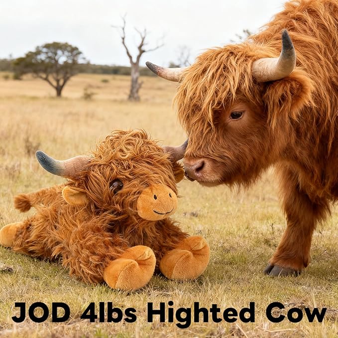 JOD® 4lbs Highland Cow Weighted Stuffed Animals, 22inch Giant Highland Cow Gift Plushie Toy, Cute Stuffed Animal Highland Cattle Plush Pillow Women Adults Kid Bedtime Highland Cattle