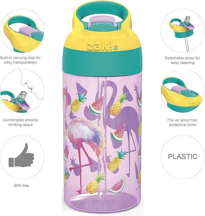 Zak Designs 16oz Riverside Desert Life Kids Water Bottle with Straw and Built in Carrying Loop Made of Durable Plastic, Leak-Proof Design for Travel, 2PK Set