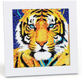 Libfx Diamond Art Kits for Kids with Frame Diamond Art for Girls Boys Beginners Arts and Crafts Ages 8-12 Birthday Gifts (Tiger)