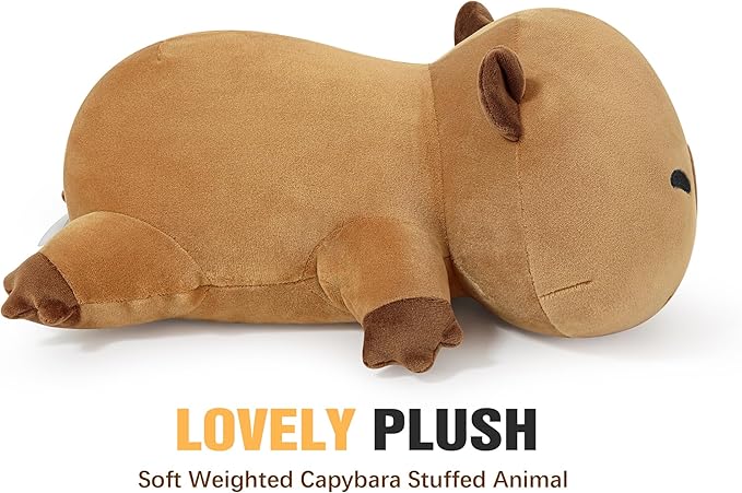 Onsoyours Original Weighted Stuffed Animals, Cute Weighted Positive Capybara Plush Pillow Toy Soft Weighted Capybara Plushies Gift for Kids Adults (9.8", 1.0 Lbs)