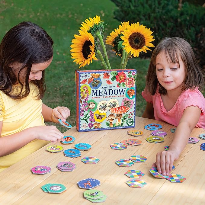 eeBoo: Memory and Matching Game - Life in a Meadow - 24 Pairs, Develops Recognition, Concentration, Memory & Vocabulary Skills, Age 3+