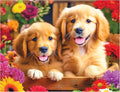 RoseArt - Kodak Premium - Golden Puppy Pals - 100 Piece Jigsaw Puzzle for Adults