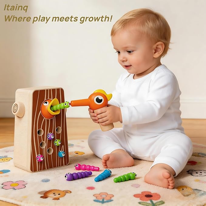 Montessori Toys for Boys and Girls Aged 2-4, Toddler Fine Motor Skills Learning Toys