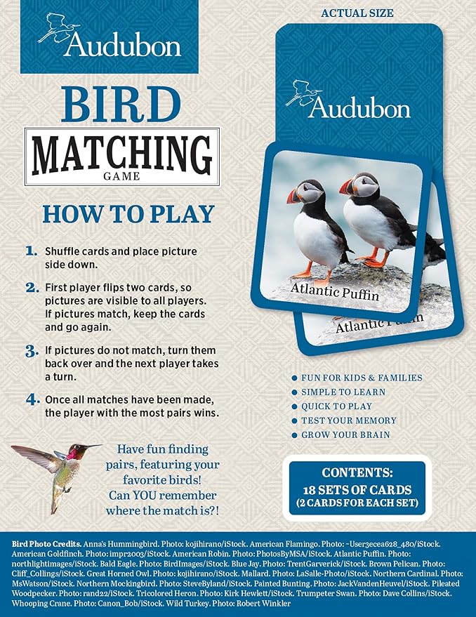 Masterpieces Officially Licensed Audubon Picture Matching Card Game for Kids and Families