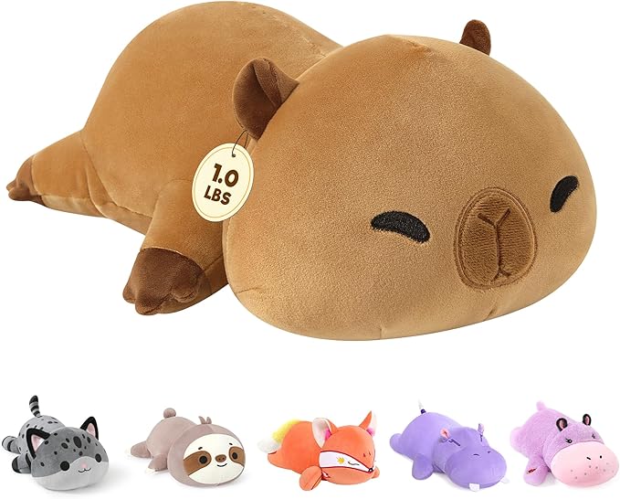 Onsoyours Original Weighted Stuffed Animals, Cute Weighted Positive Capybara Plush Pillow Toy Soft Weighted Capybara Plushies Gift for Kids Adults (9.8", 1.0 Lbs)
